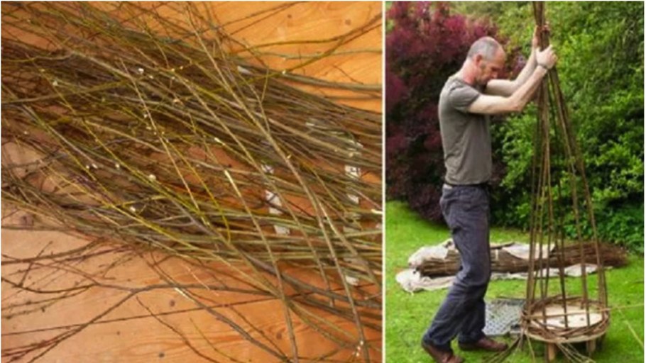 Из веток ивы