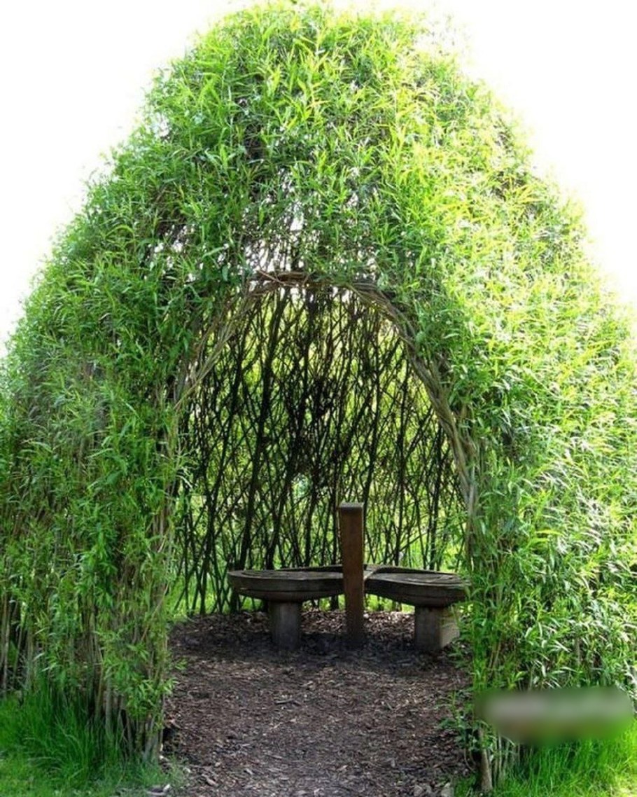 Плетение из веток