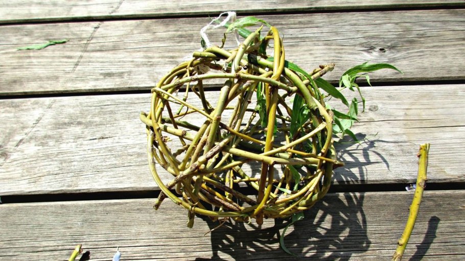 Переплетение веток