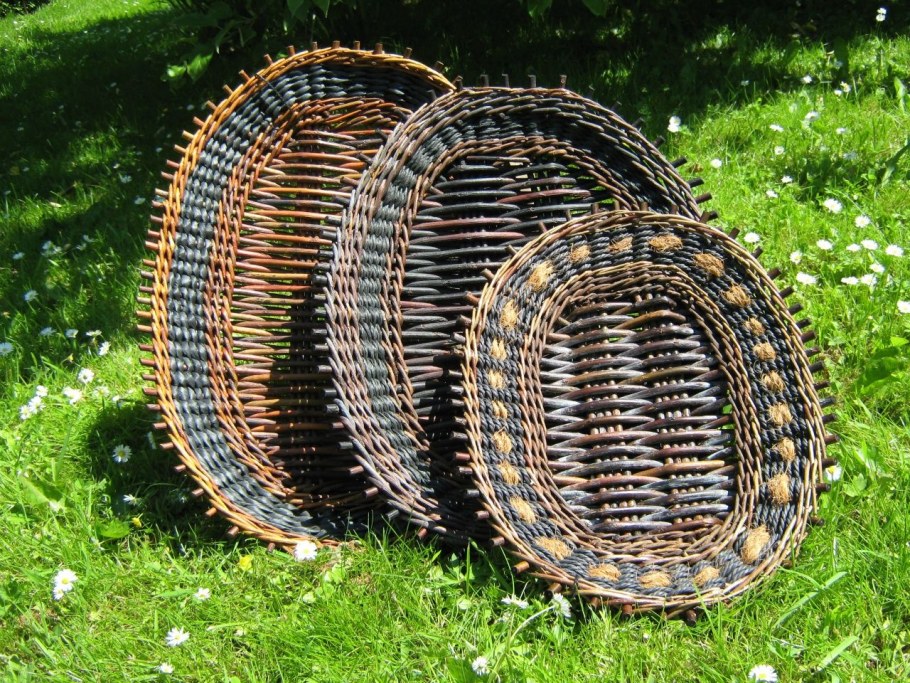 Ива плакучая беседка