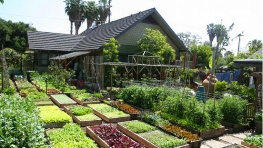 Ландшафт дачного участка