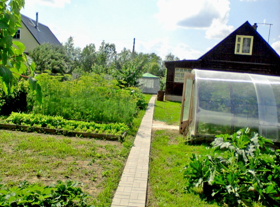 Ландшафт участка 30 соток