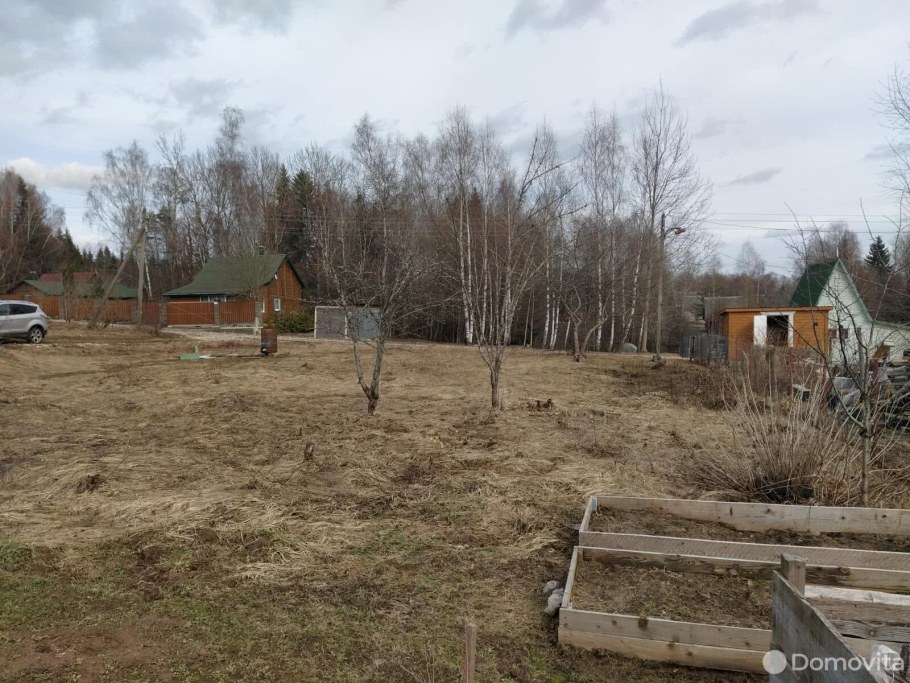 Озеленение и благоустройство территории дачного участка