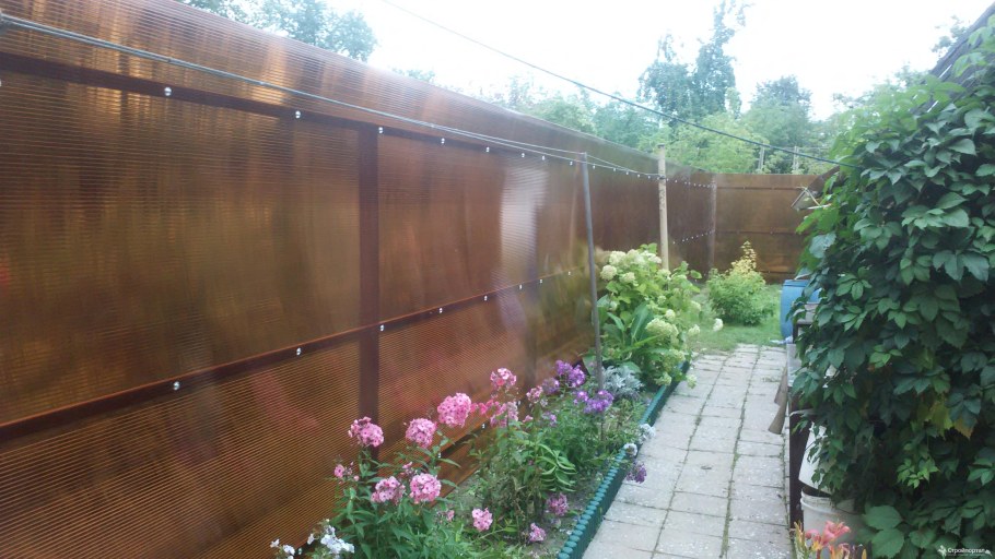 Забор прозрачный поликарбонат