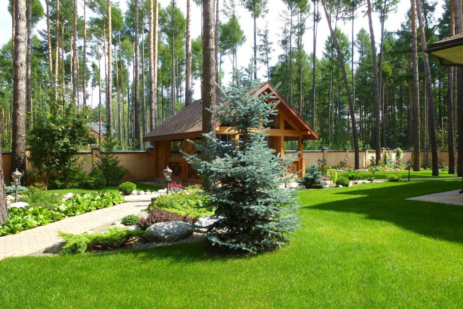 Хвойники в Лесном ландшафте