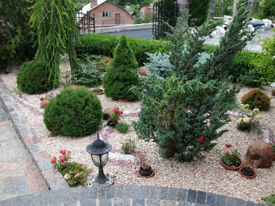 Ель канадская Коника можжевельник казацкий