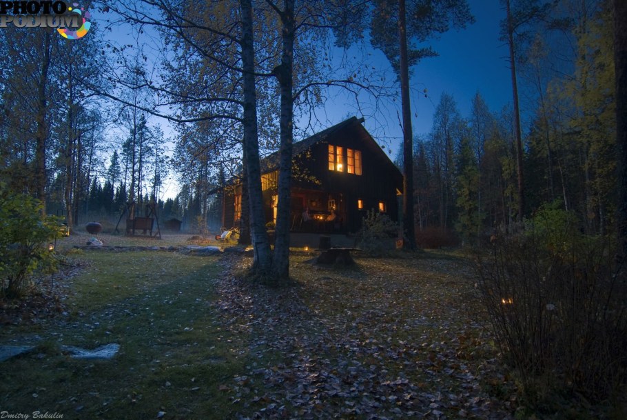 Дом в лесу