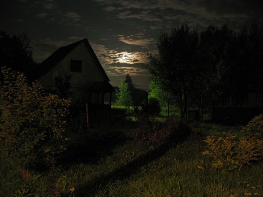 Лето ночь дача