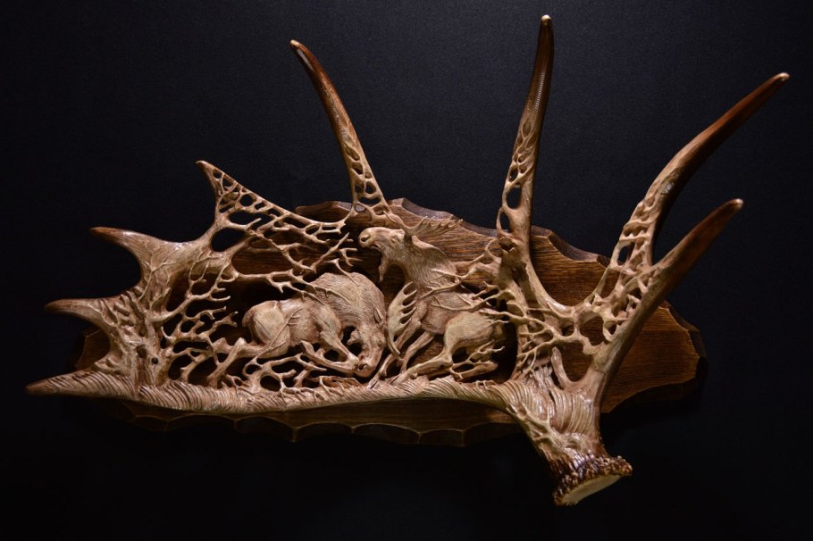 Лосиха с рогами