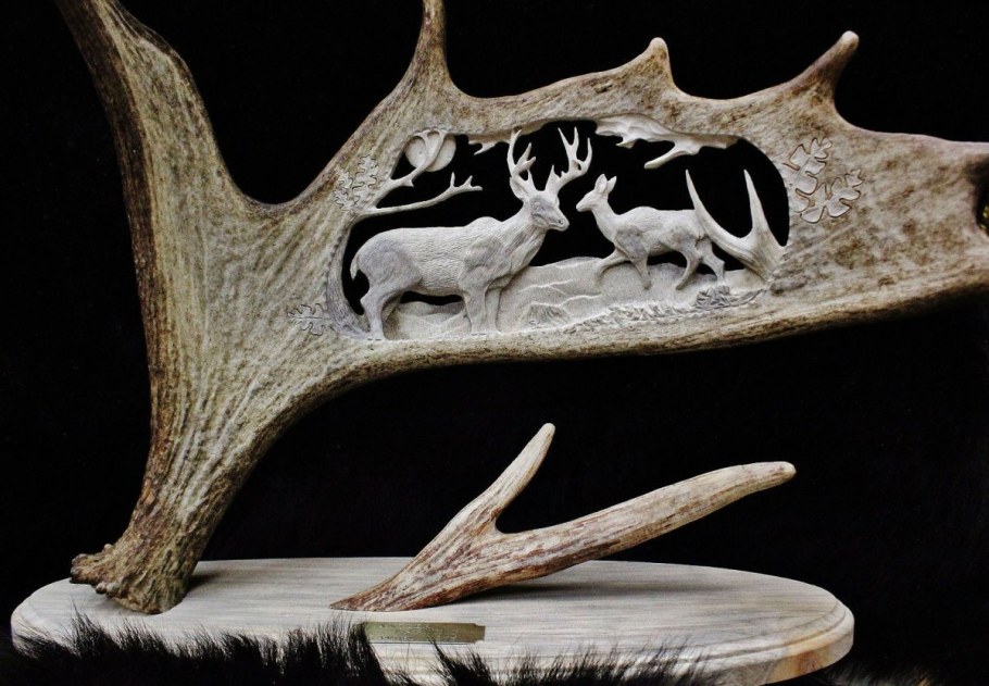 Рога косули на медальоне