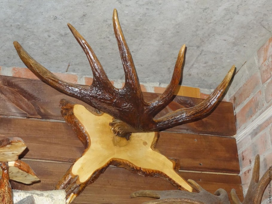 Рога лося Лысьва