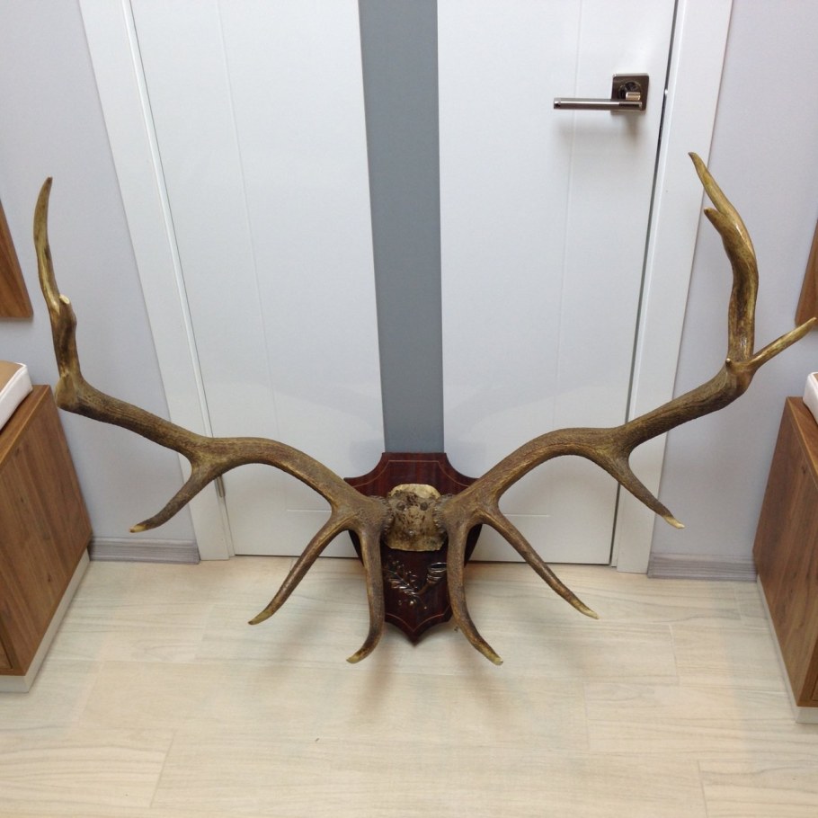 Вешалка из Рогов оленя