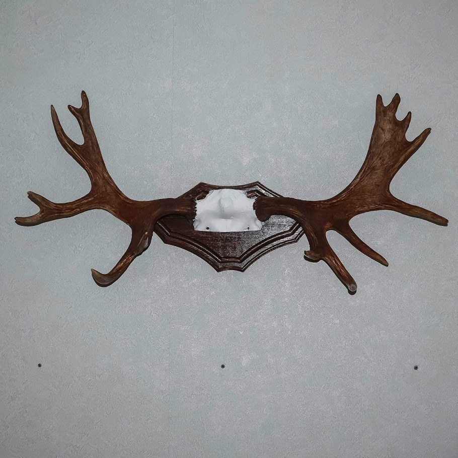 Рога в интерьере