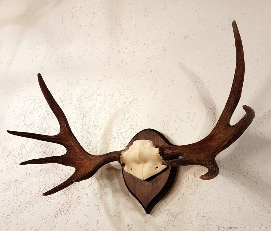 Скульптура из рога лося «слон»