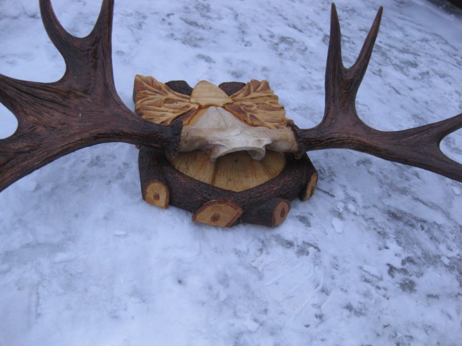 Зюраткуль Рог лося