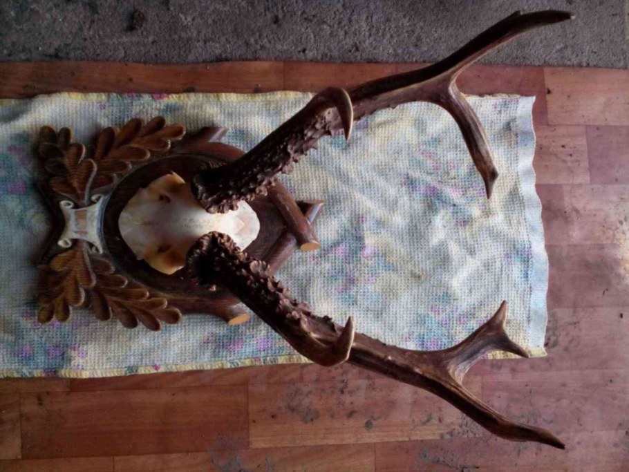 Люстра из Рогов