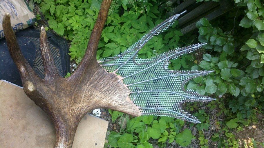 Трофейные рога лося