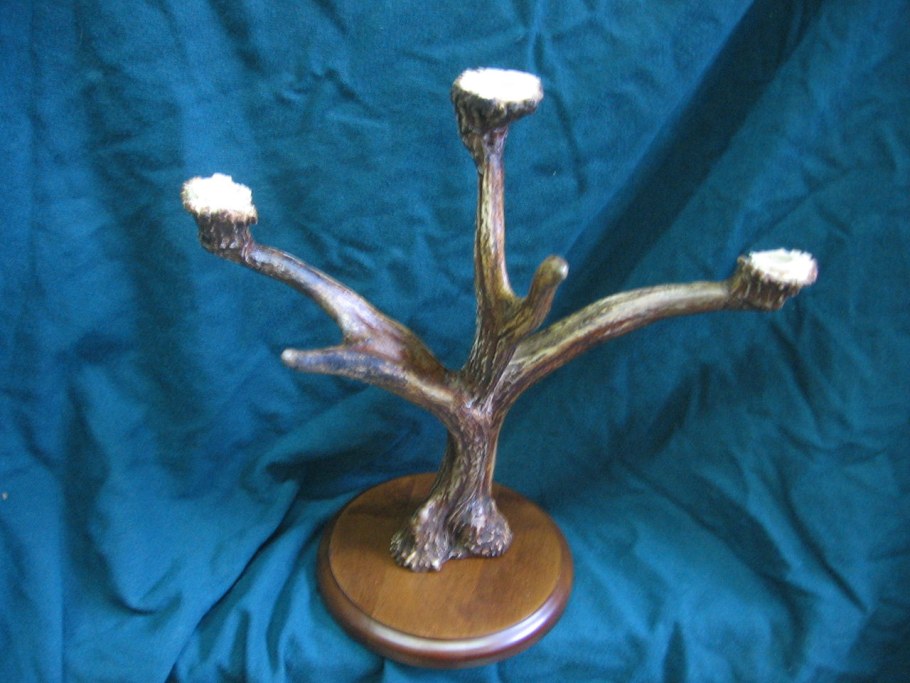 Трофейные рога лося