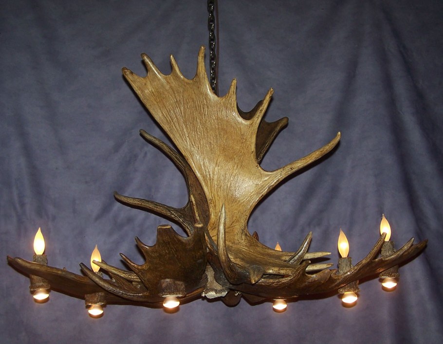 Рога лося на стену