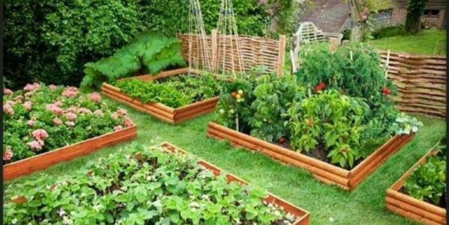 Огородик в саду