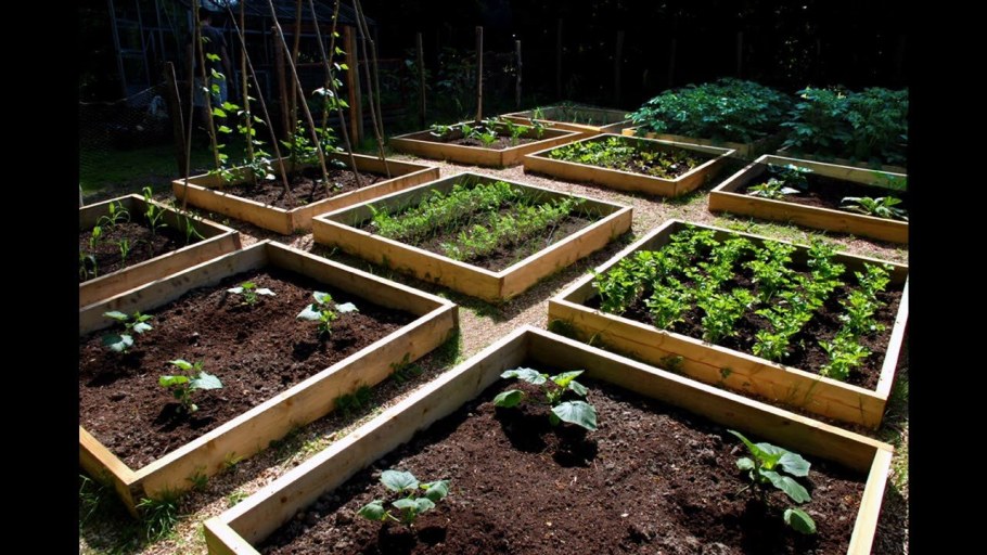 Красивый огород