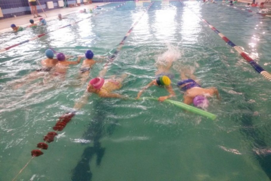 Плавательный бассейн Дельфин Чернянка