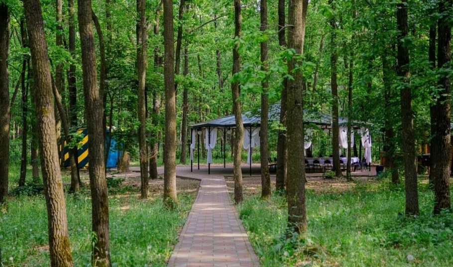 Парк отель Солнечный Солнечногорск