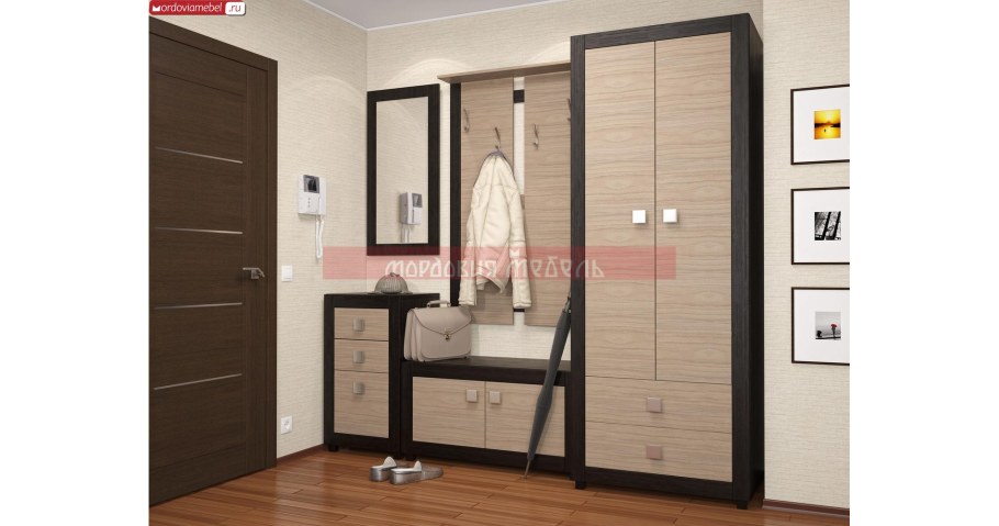 Шкаф-купе в прихожую