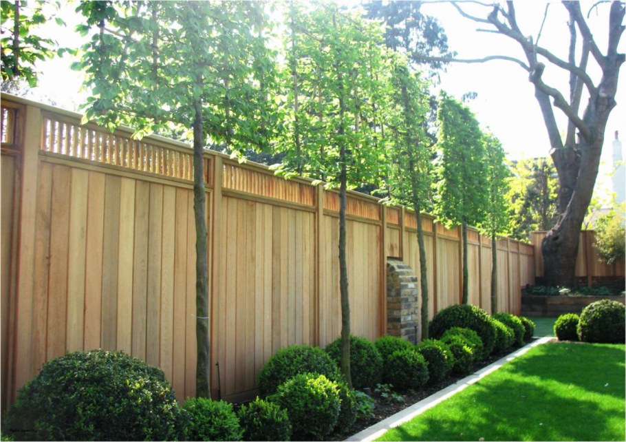 Высокий забор на даче