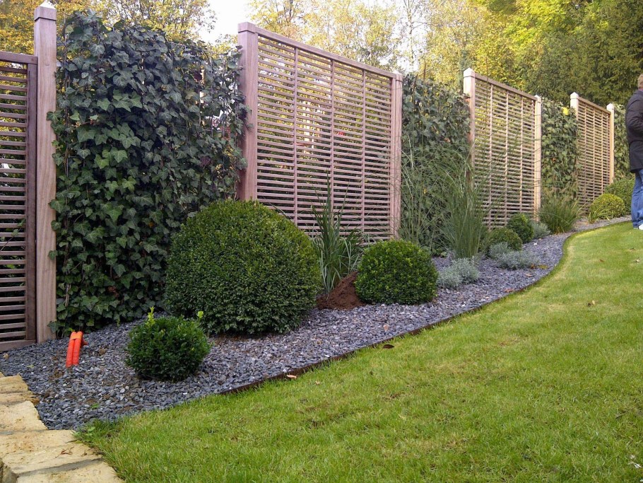 Деревья в дроль щабора