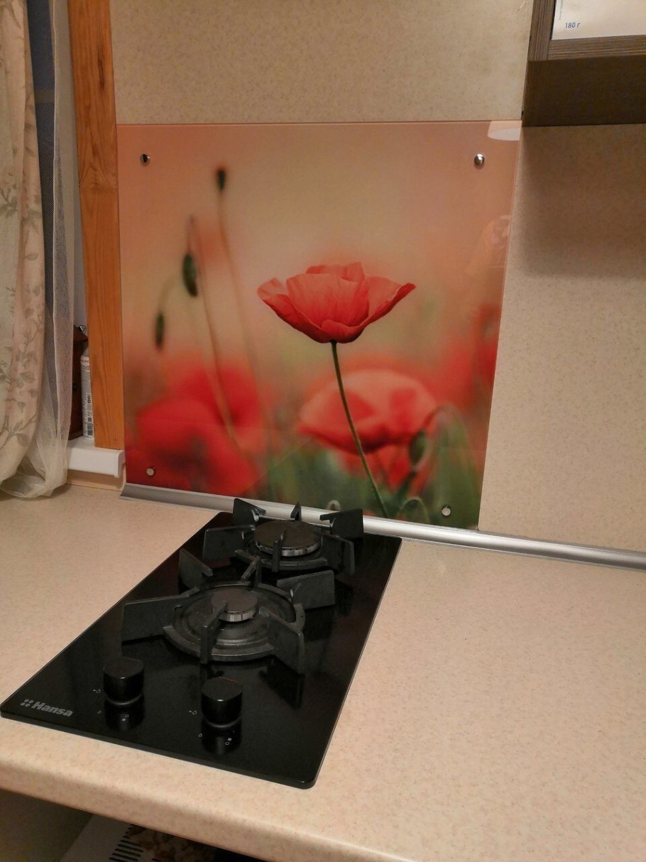 Экран стеклянный газовой панели