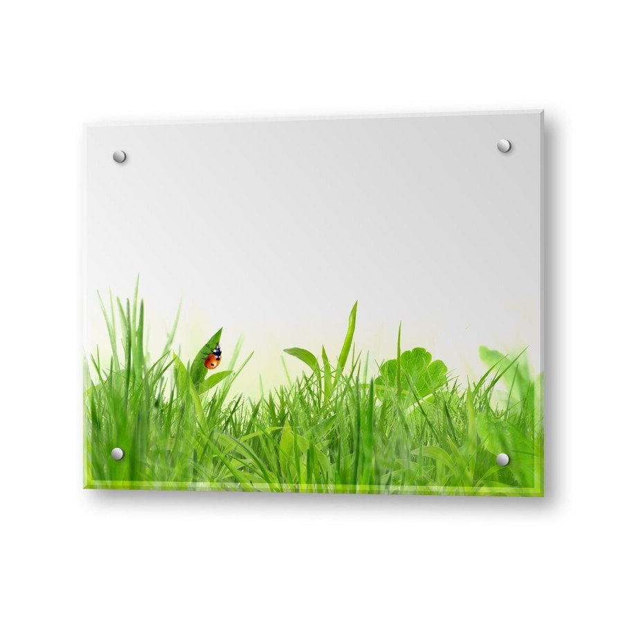 Защитный экран из закаленного стекла 600х1000