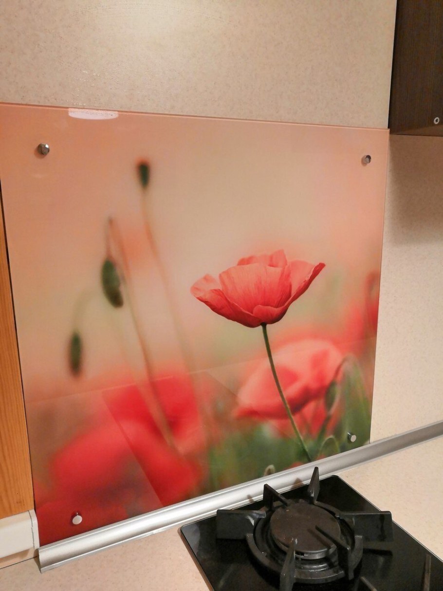 Стеклянный экран для плиты