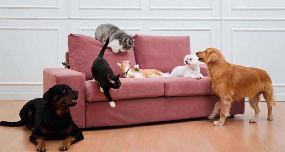 Флок материал для дивана