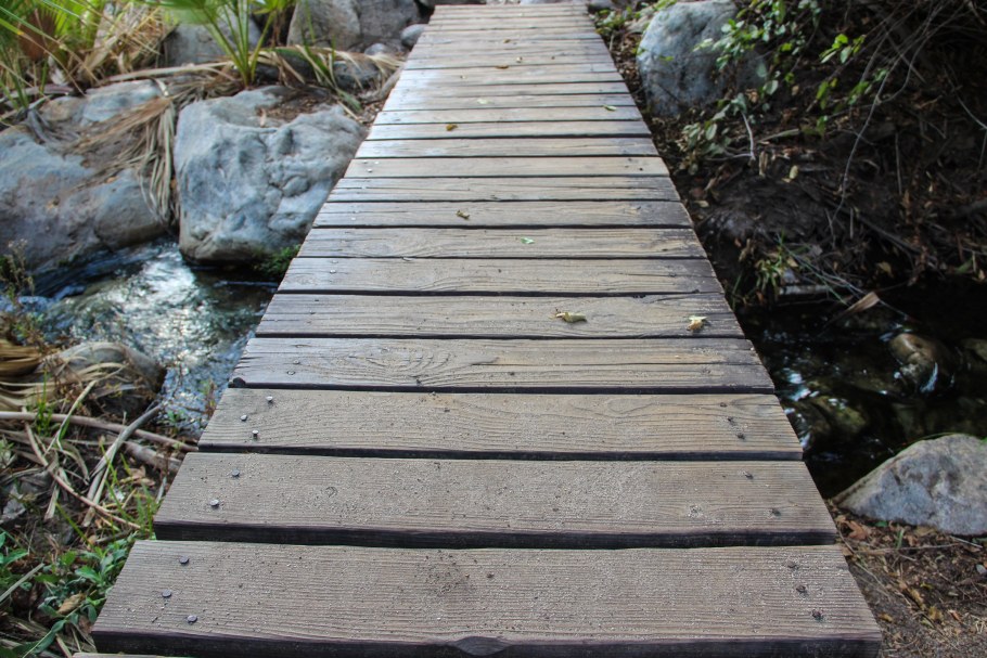 Деревянные дорожки на даче