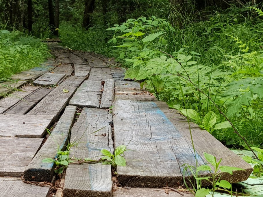Деревянные садовые дорожки