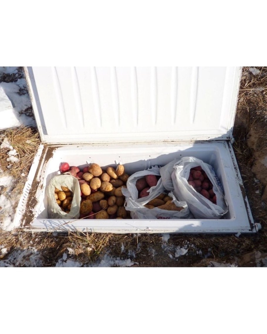 Погребок из старого холодильника