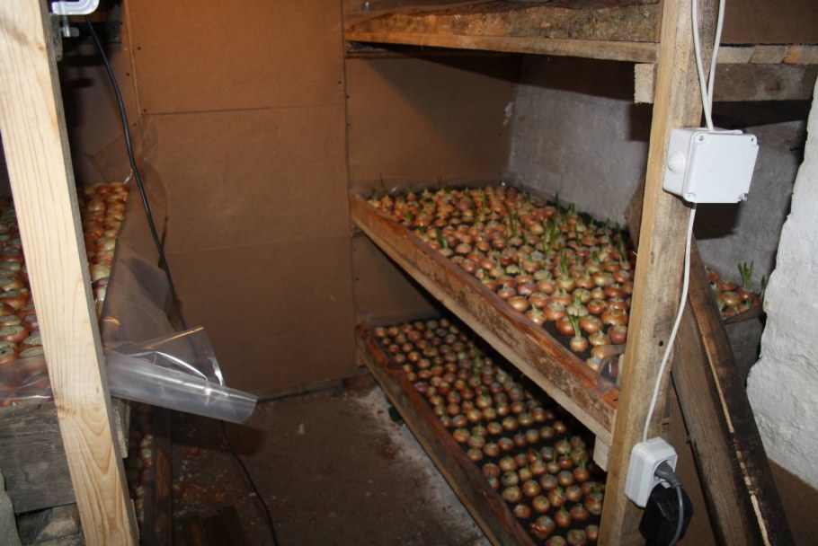 Ящик для овощей в погреб