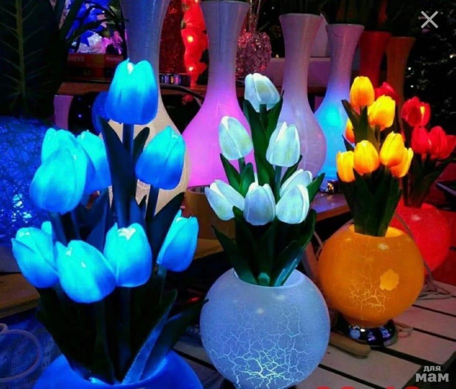 Светонакопительные светильники для сада