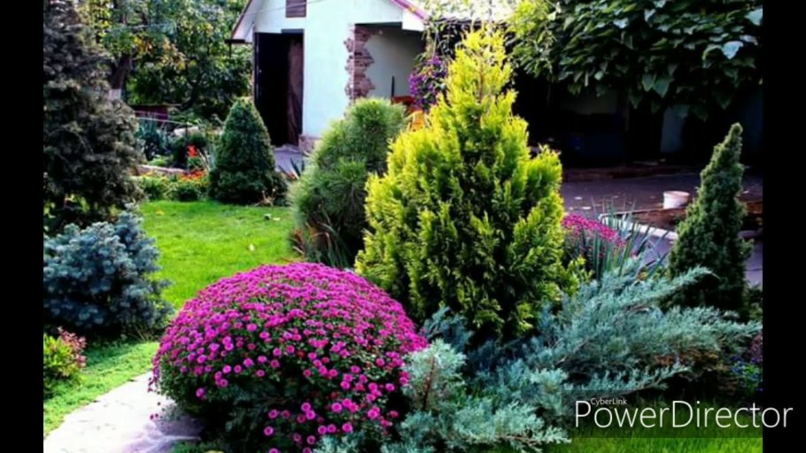 Хвойный рокарий миксбордер