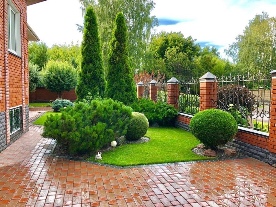 Спирея Голден принцесс бордюр