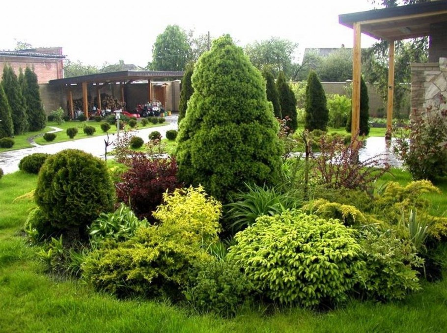 Миксбордер с можжевельником Стрикта