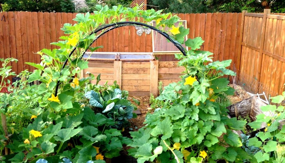 Интересные решения для дачи