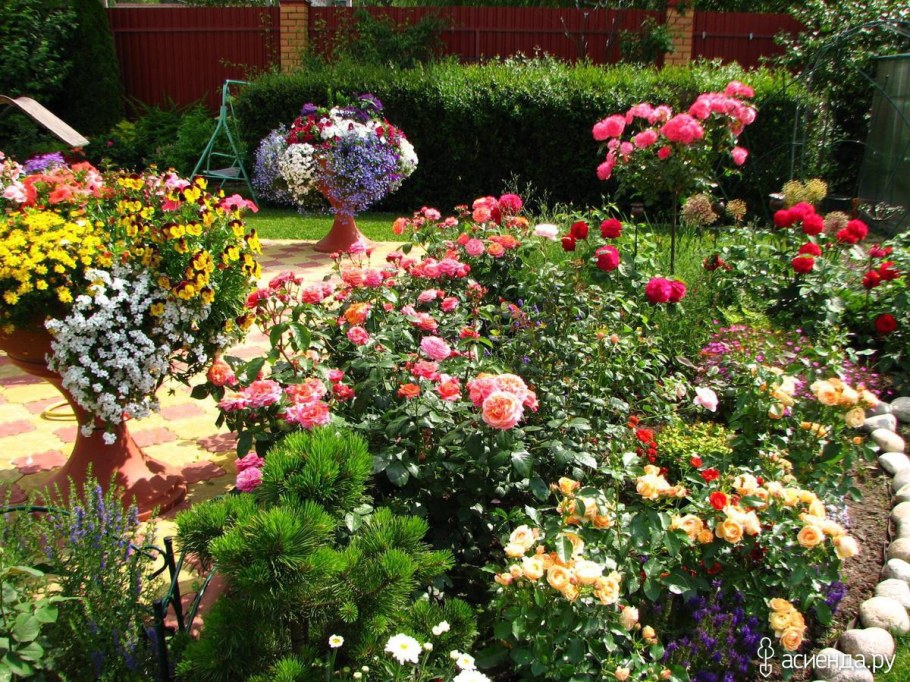 Розария и Кэйа