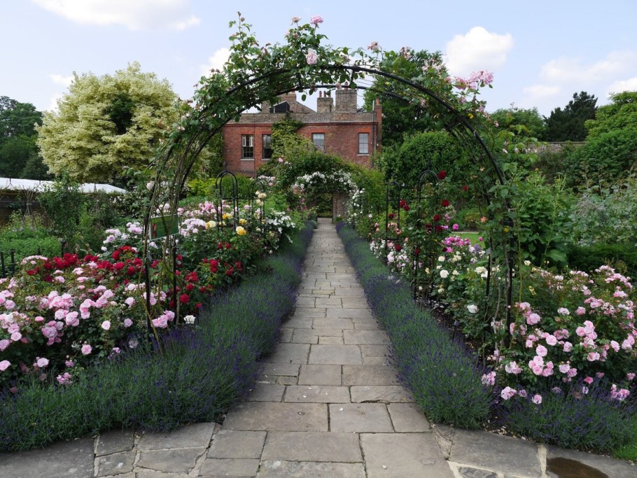 Спирея и клематис