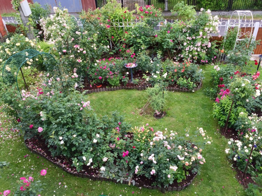 Розарий Сережниковых