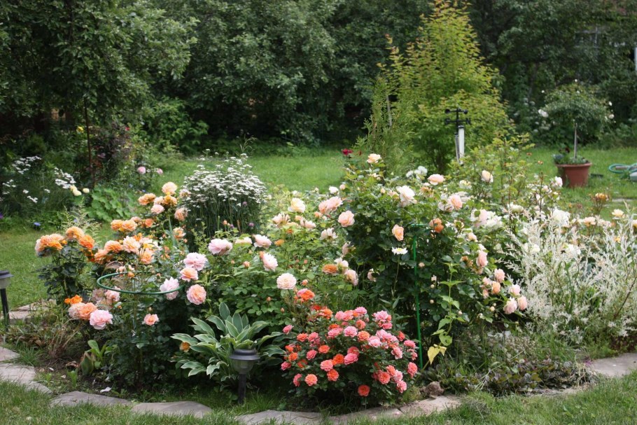 Круговой розарий