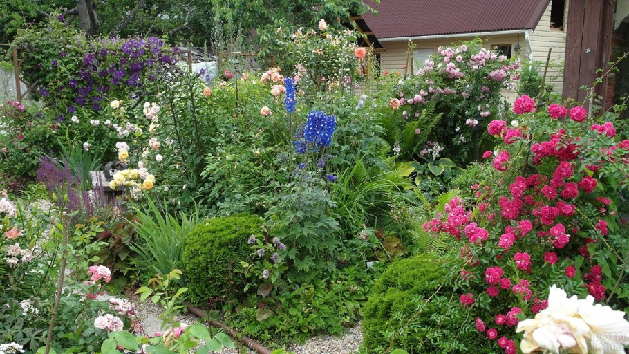 Роза Розария Югторсан