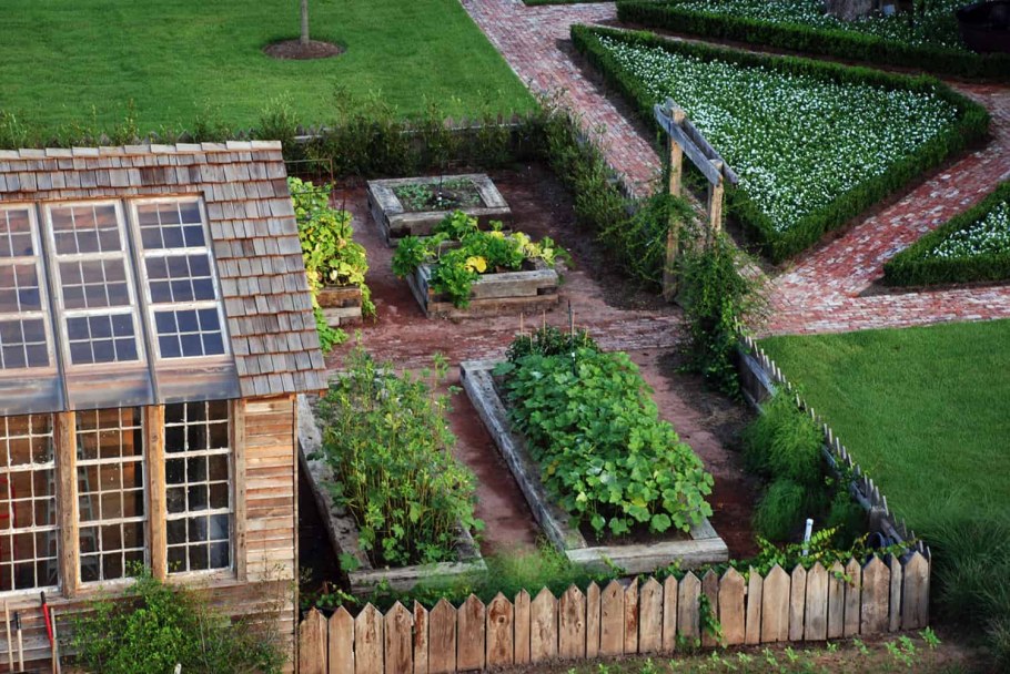 Красивые грядки