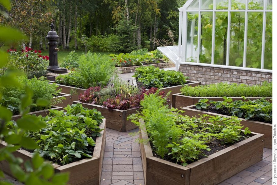 Грядки-клумбы мавританский дворик